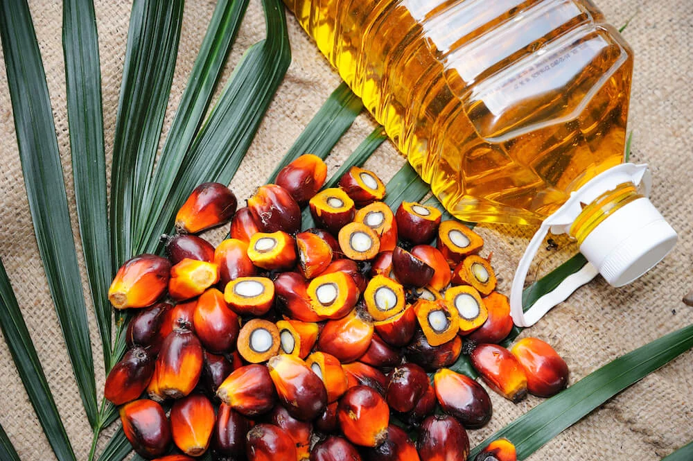 Commodities Hires